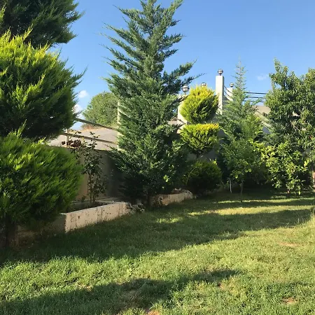 Luxury Duplex With Garden * Side